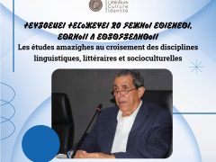 Les études amazighes au croisement des disciplines linguistiques, littéraires et socio-culturelles